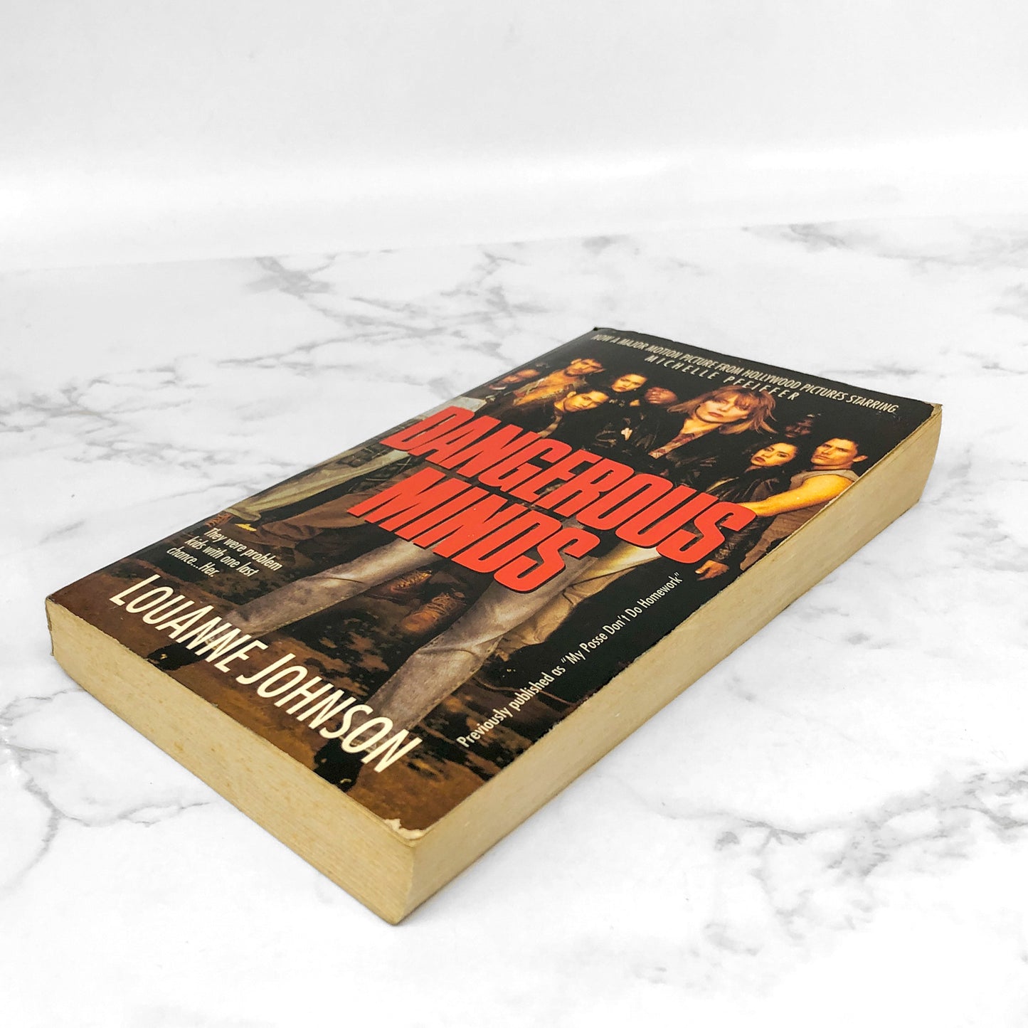 Dangerous Minds by LouAnne Johnson [1993 PAPERBACK]