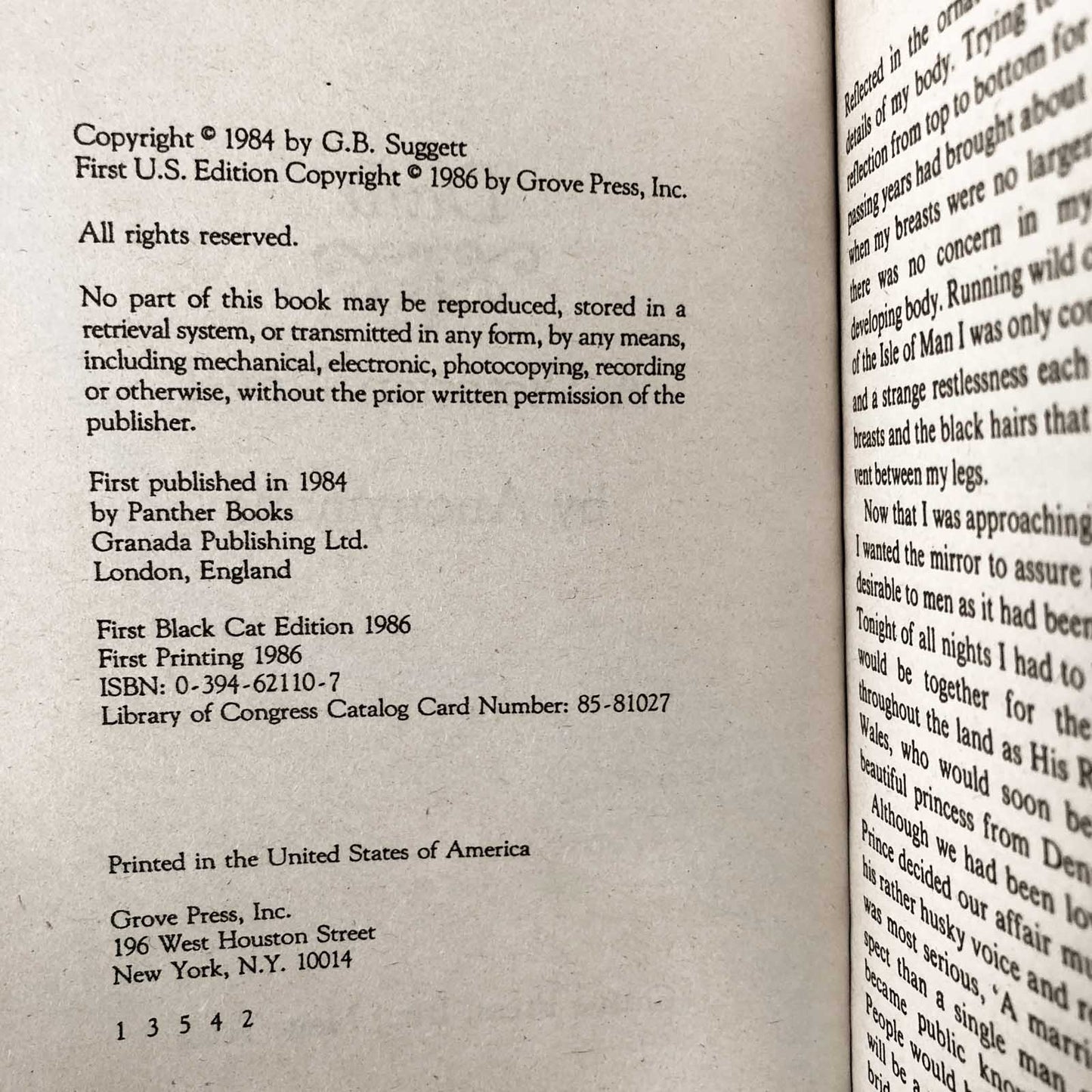 Dara: A Victorian Novel by Anonymous [1986 SLEAZE PAPERBACK]