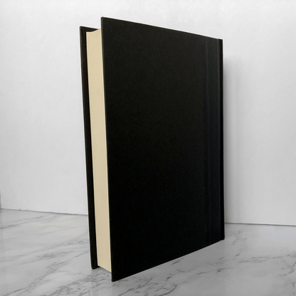 The Darkangel Trilogy by Meredith Ann Pierce [1990 HARDCOVER ANTHOLOGY] - Bookshop Apocalypse