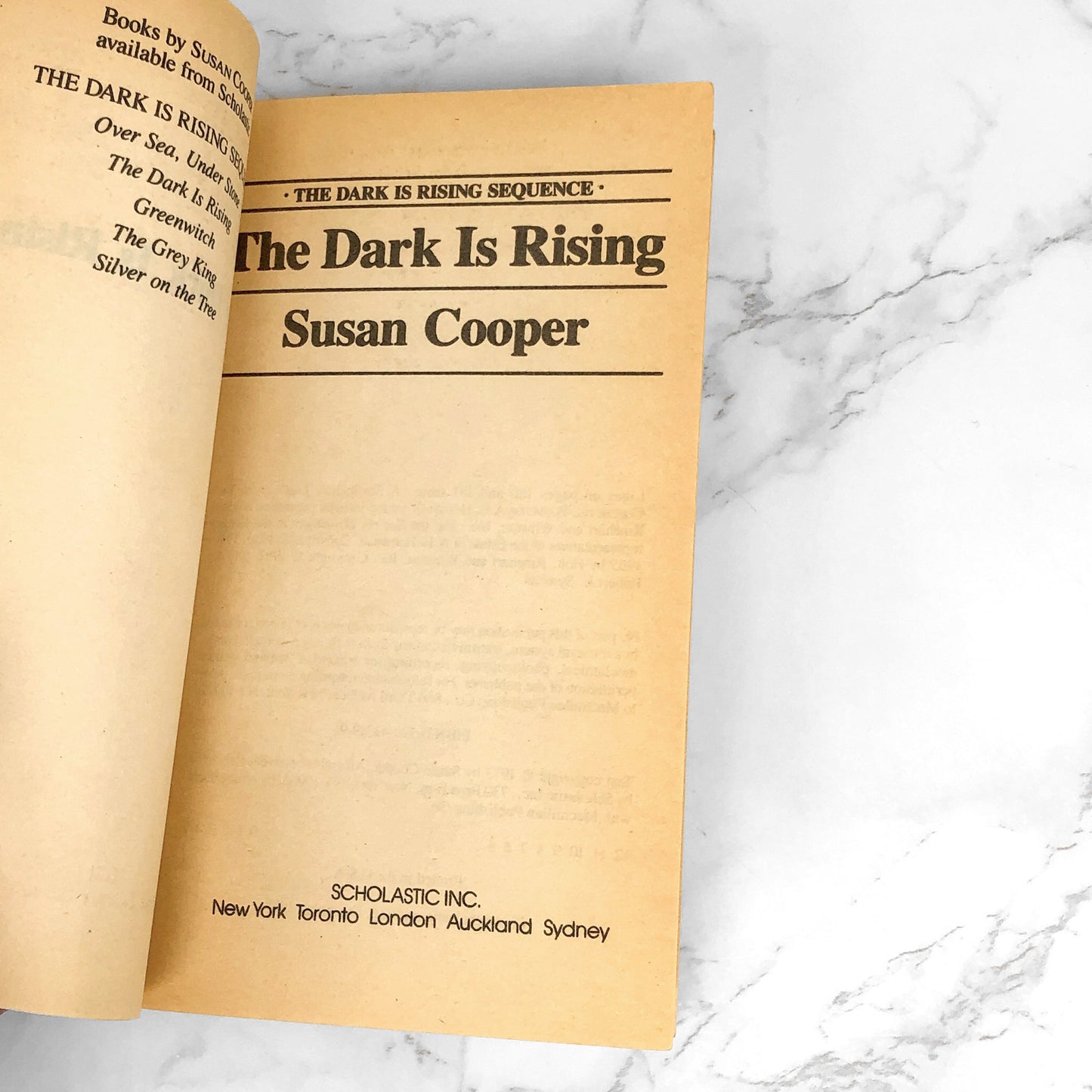 The Dark is Rising by Susan Cooper [1989 PAPERBACK]