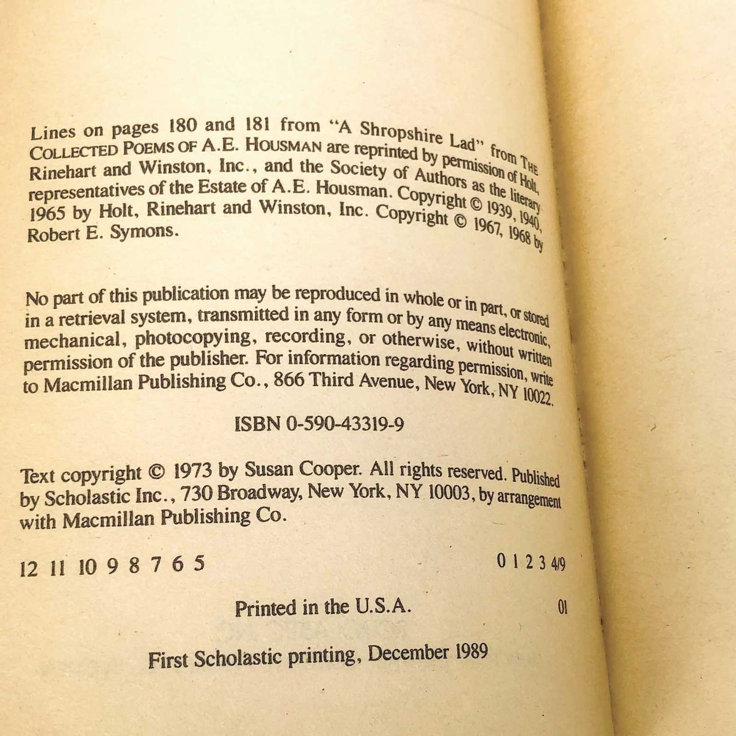 The Dark is Rising by Susan Cooper [1989 PAPERBACK]