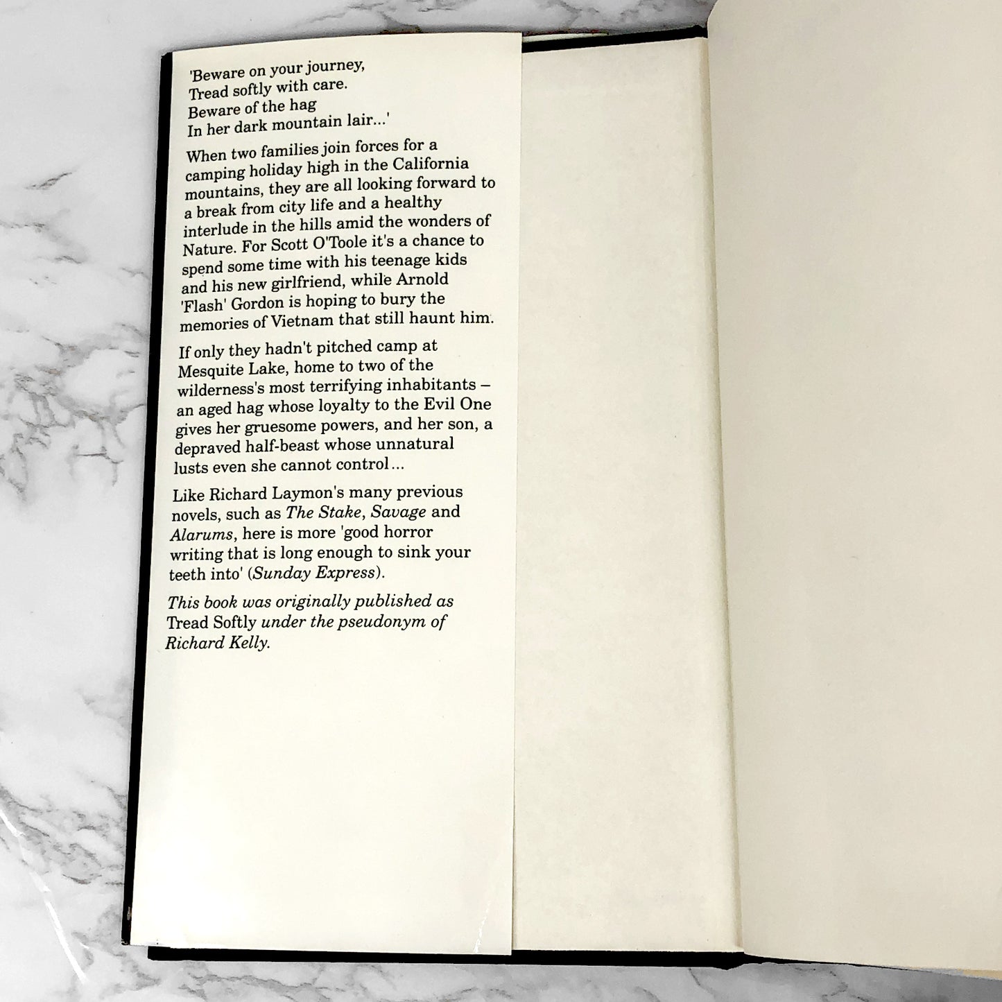 Dark Mountain by Richard Laymon [1993 U.K. HARDCOVER]