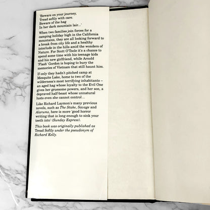 Dark Mountain by Richard Laymon [1993 U.K. HARDCOVER]