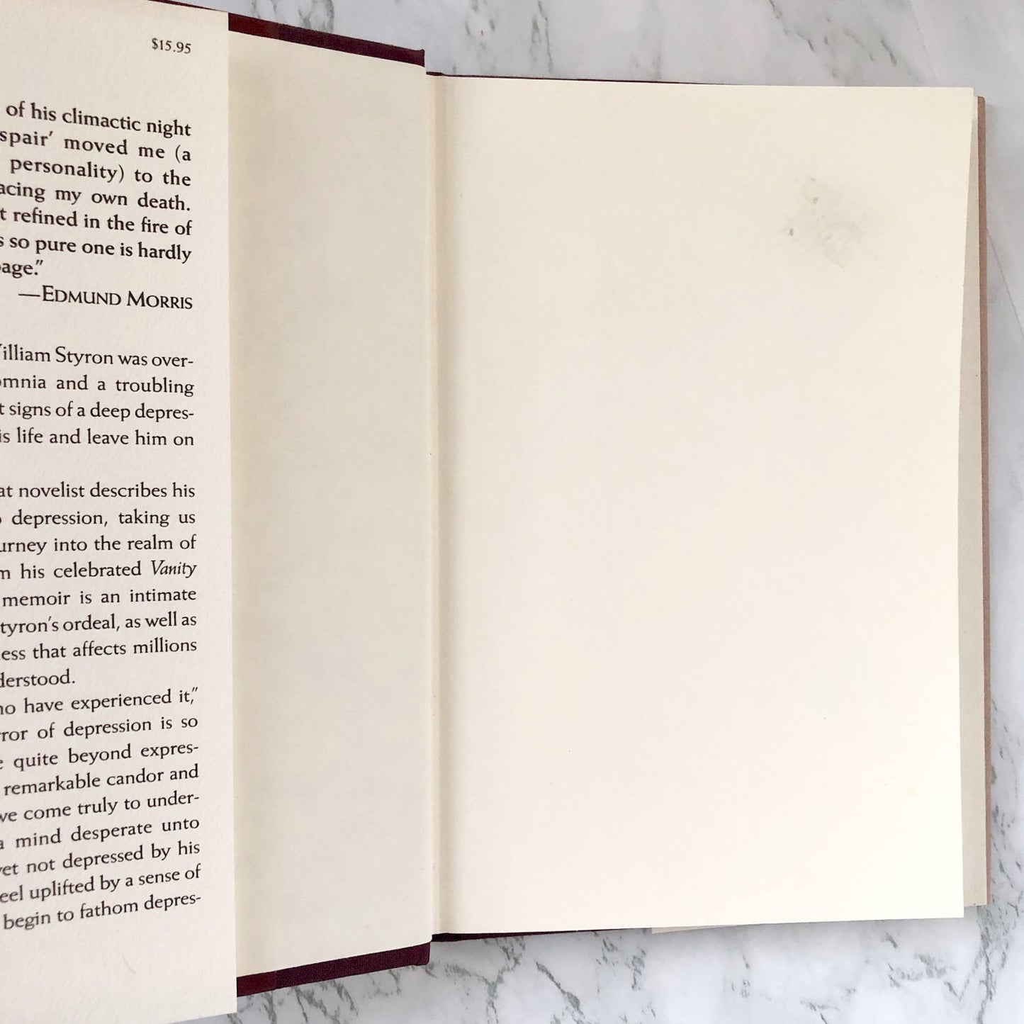 Darkness Visible: A Memoir of Madness by William Styron [FIRST EDITION] 1990 • Random House