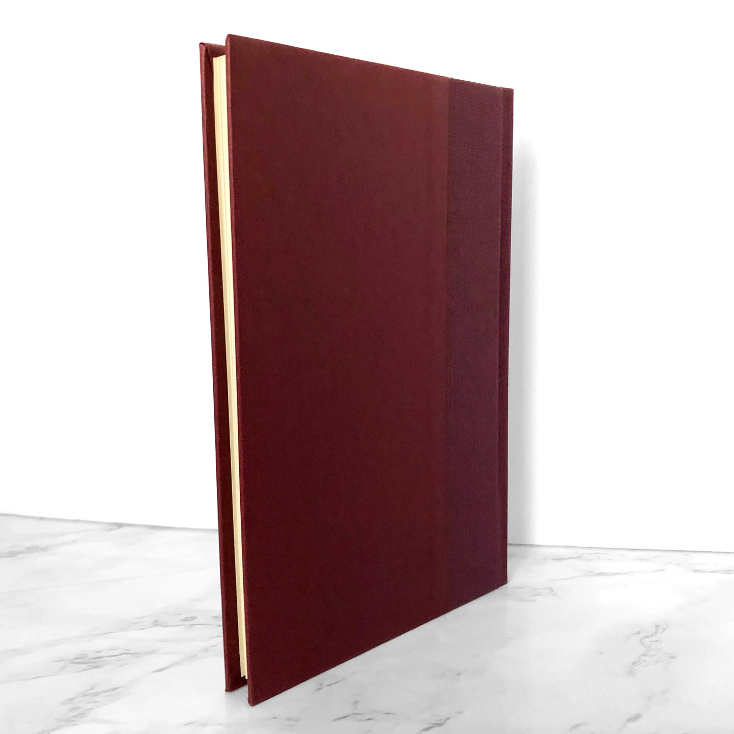 Darkness Visible: A Memoir of Madness by William Styron [FIRST EDITION] 1990 • Random House