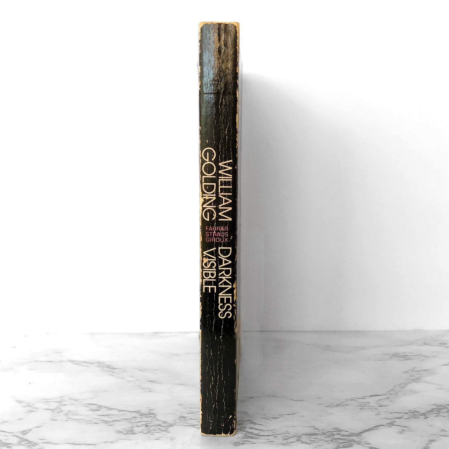 Darkness Visible by William Golding [FIRST PAPERBACK PRINTING / 1979]