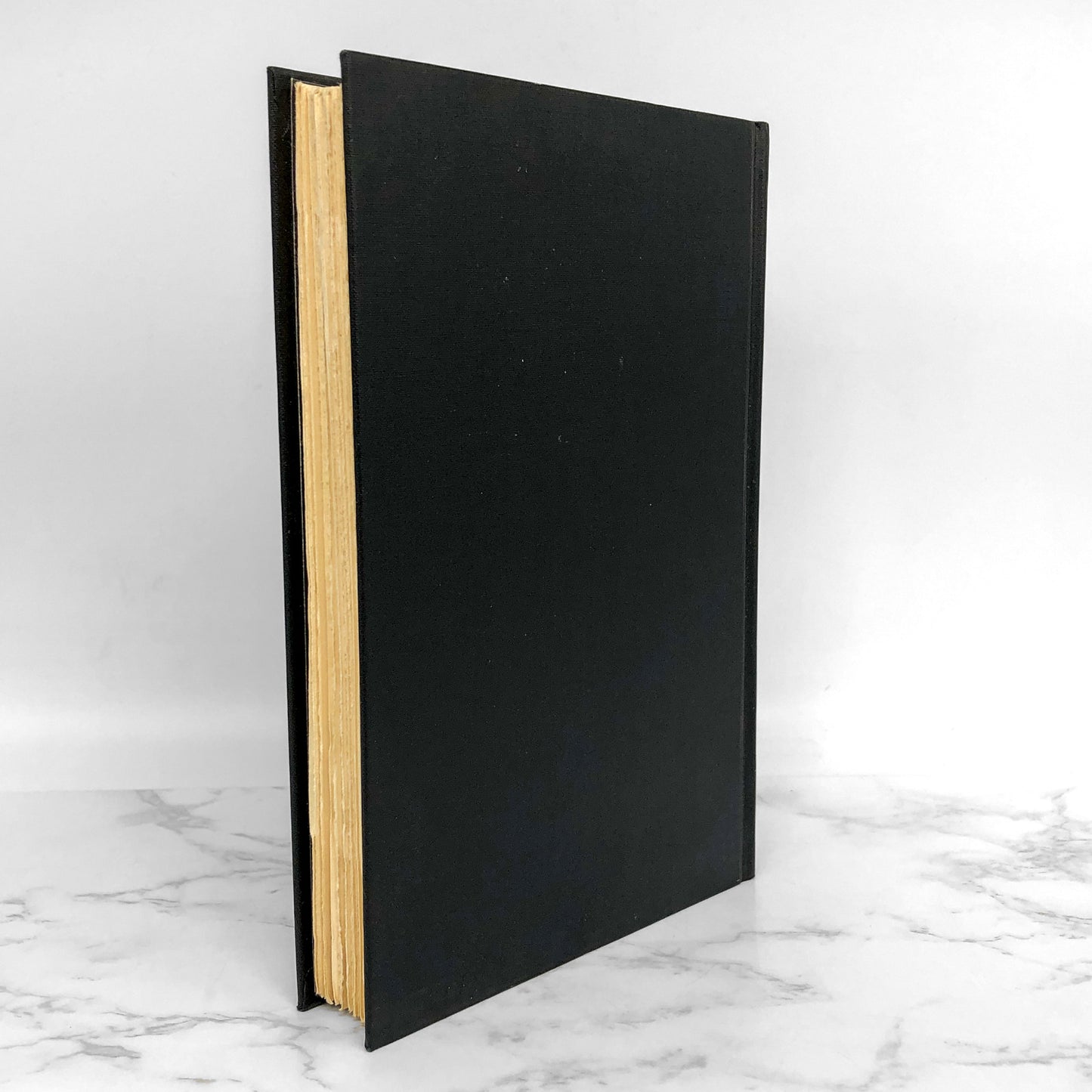 Death Kit by Susan Sontag [1967 HARDCOVER]