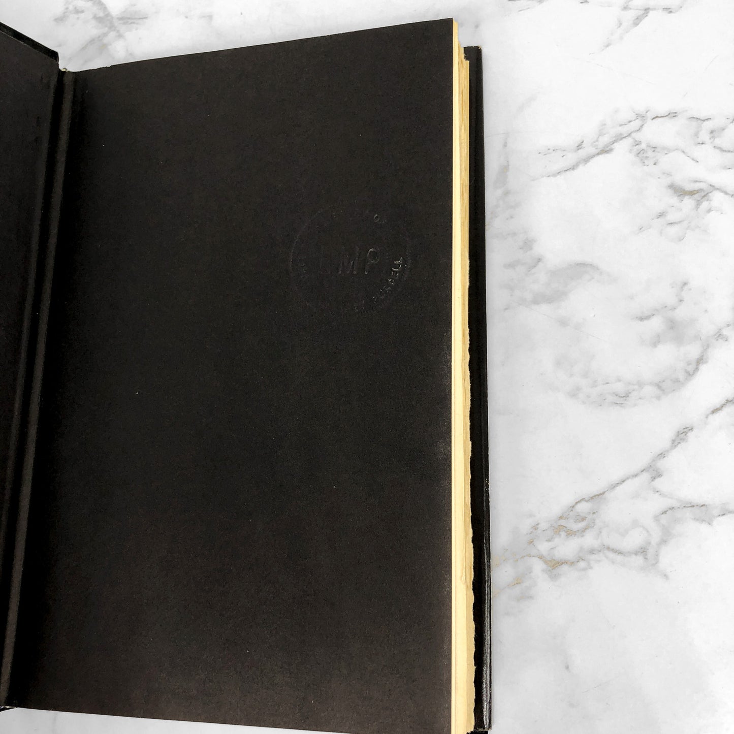 Death Kit by Susan Sontag [1967 HARDCOVER]