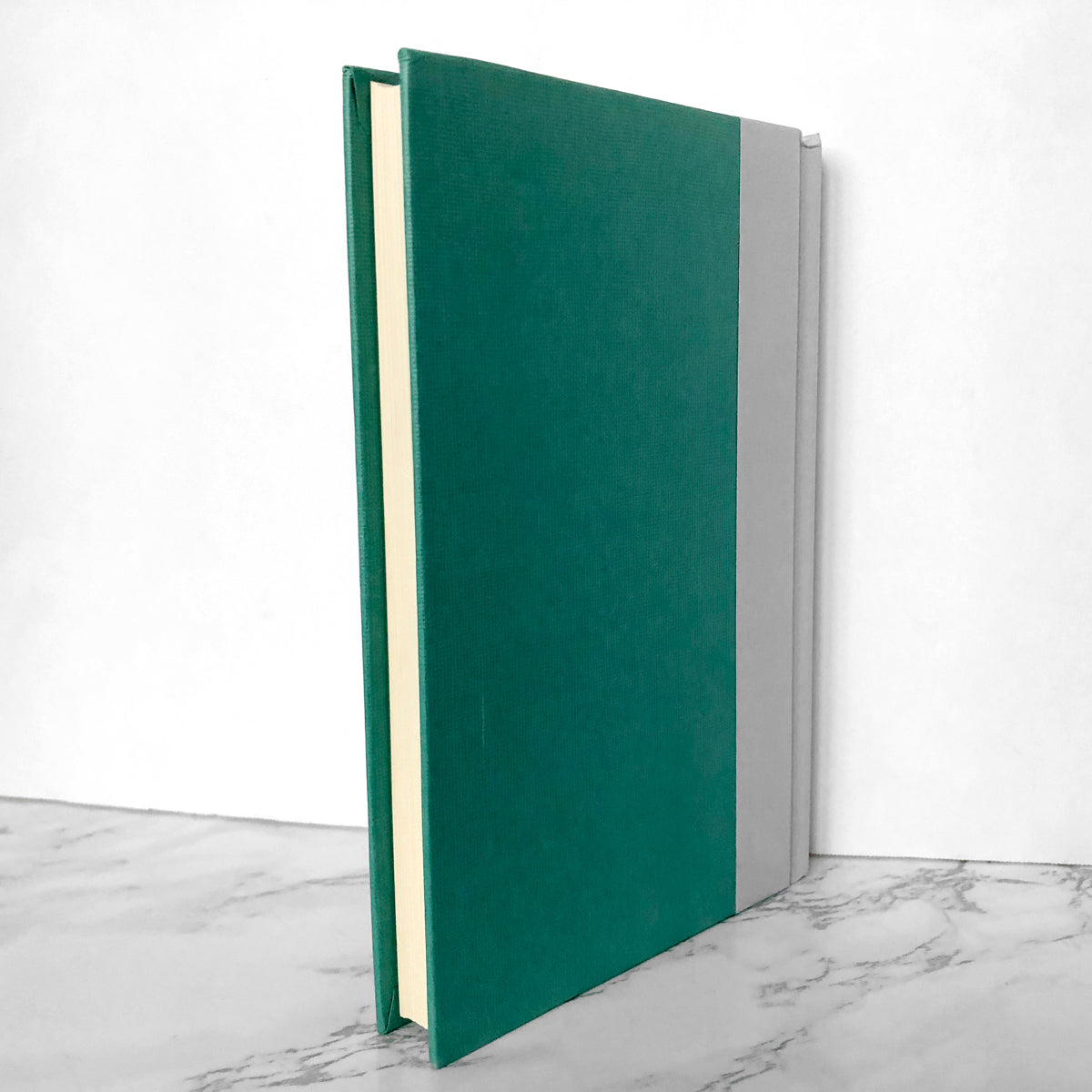 Demonology: Stories by Rick Moody [FIRST EDITION / FIRST PRINTING] - Bookshop Apocalypse