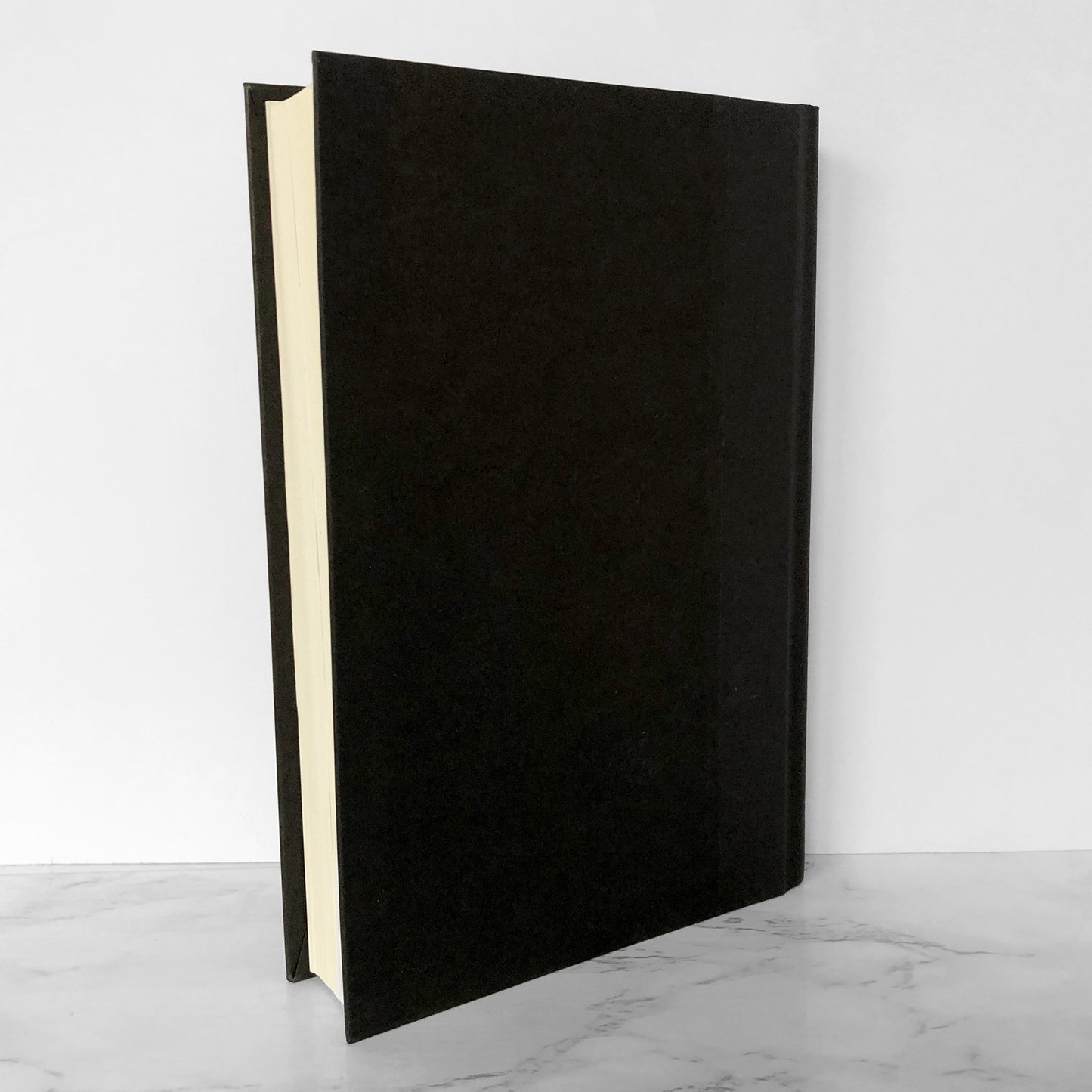 Devil's Knot: The True Story of the West Memphis Three by Mara Leveritt [FIRST EDITION] 2002