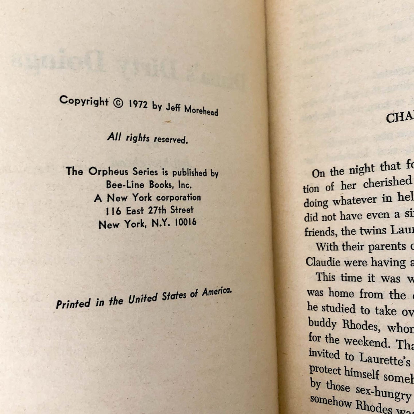 Diana's Dirty Doings by Jeff Morehead [1972 SLEAZE PAPERBACK]