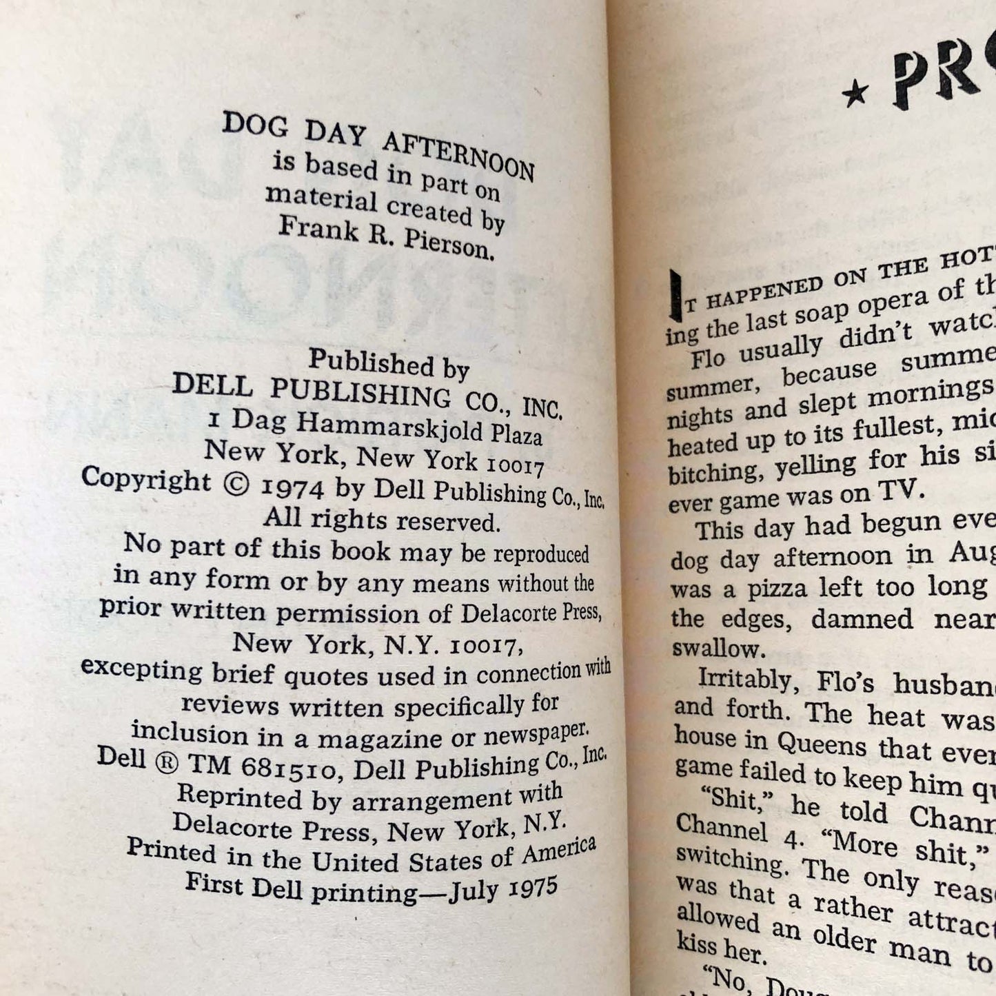 Dog Day Afternoon by Patrick Mann [FIRST PAPERBACK PRINTING]