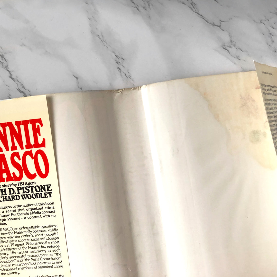 Donnie Brasco by Joseph D. Pistone [BOOK CLUB EDITION] - Bookshop Apocalypse