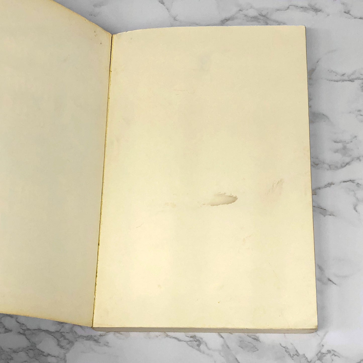 Do the Right Thing by Spike Lee w. Lisa Jones [1989 TRADE PAPERBACK]