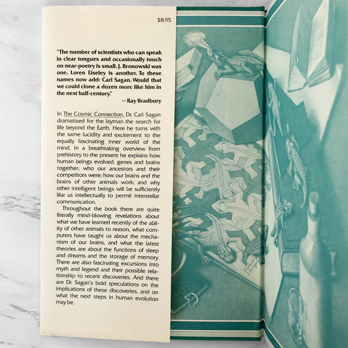 The Dragons of Eden by Carl Sagan [FIRST EDITION / FIRST PRINTING] 1977