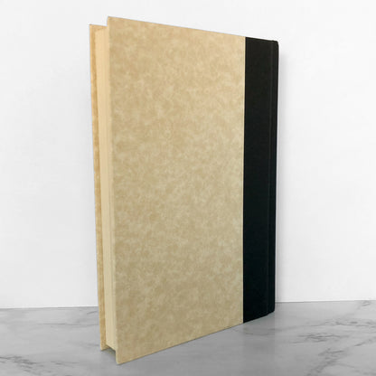 Dreamseller: An Addiction Memoir by Brandon Novak [FIRST EDITION / 2008]