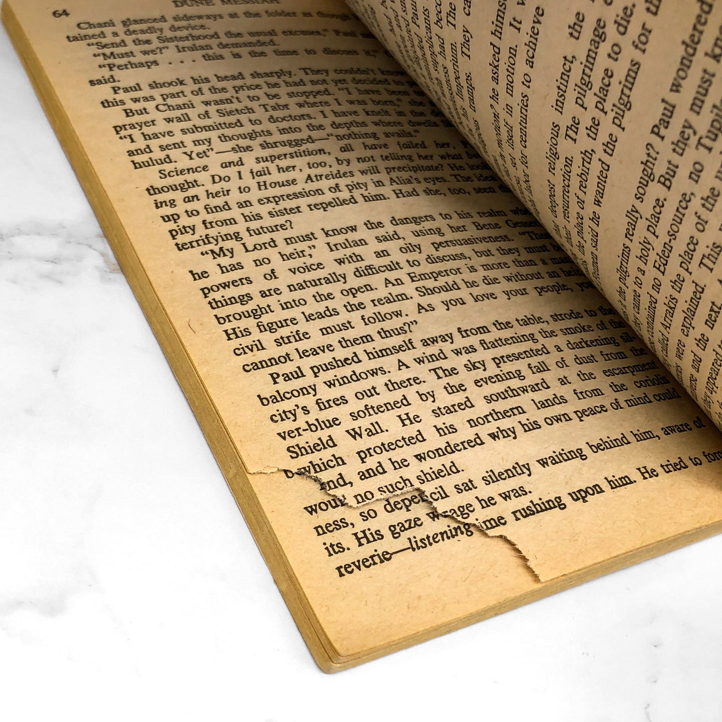 Dune Messiah by Frank Herbert [FIRST EDITION PAPERBACK] 1970 • Berkley Medallion