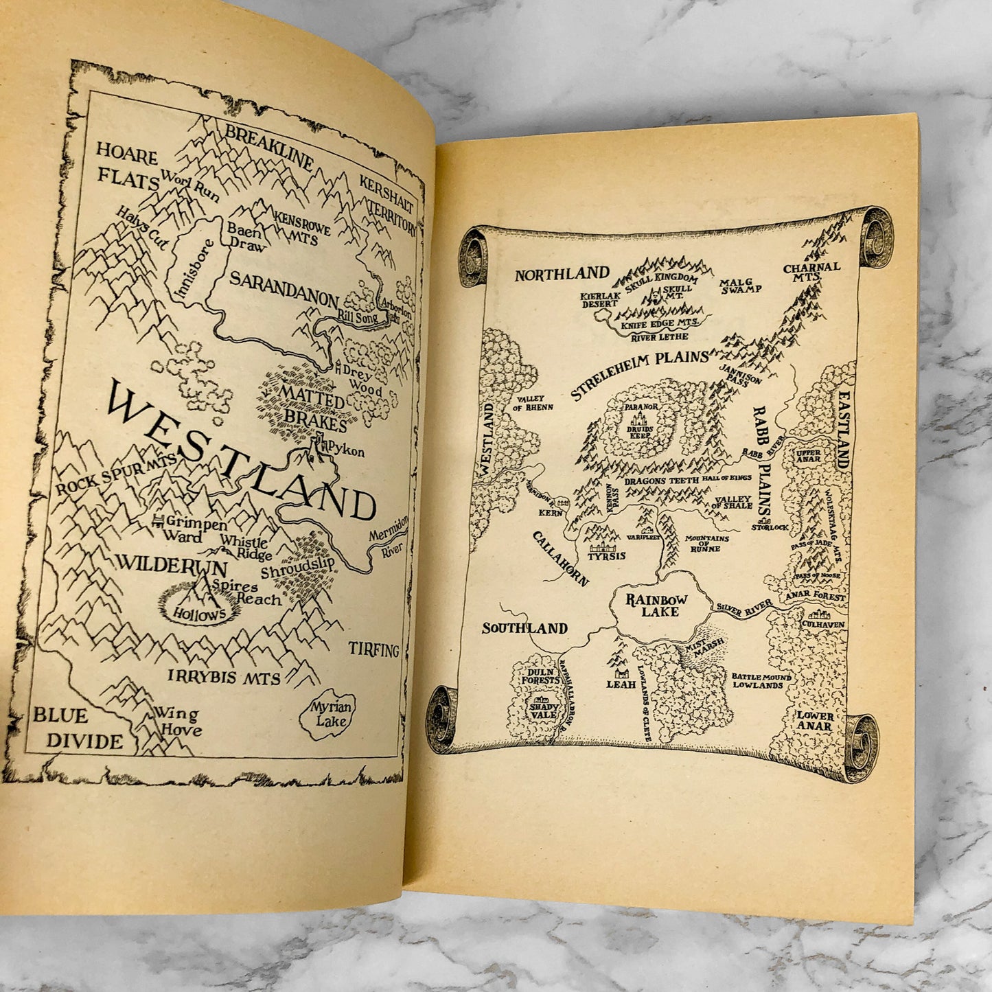 The Elfstones of Shannara by Terry Brooks [FIRST EDITION • FIRST PRINTING] 1982