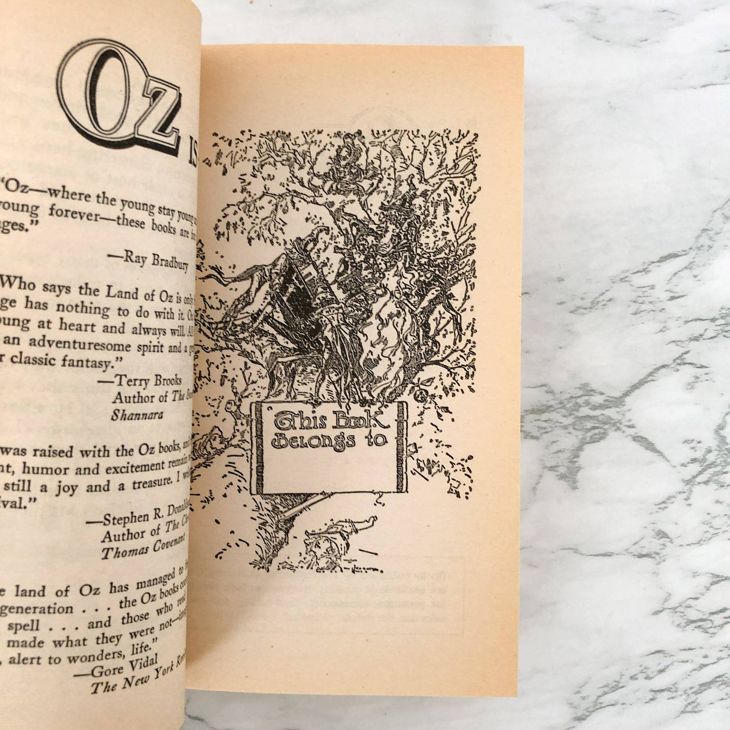 The Emerald City of Oz by L. Frank Baum [1985 DEL-REY PAPERBACK] Oz #6