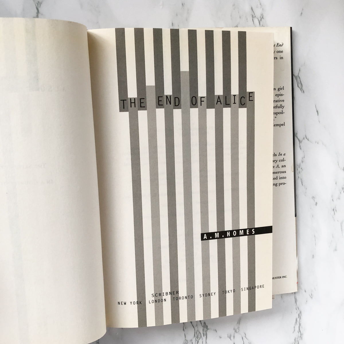The End of Alice by A.M. Homes [FIRST EDITION / FIRST PRINTING] - Bookshop Apocalypse