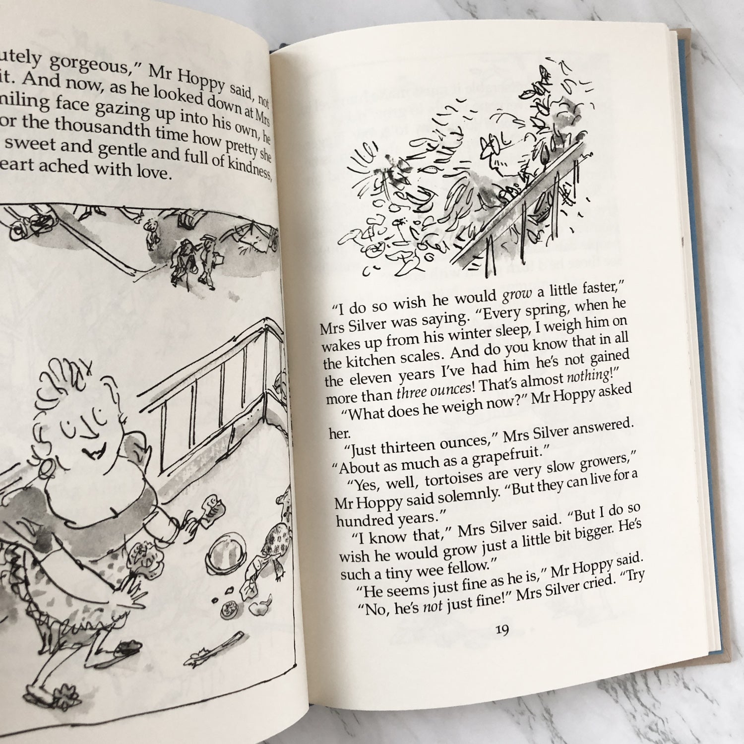 Esio Trot by Roald Dahl [FIRST EDITION / FIRST PRINTING] - Bookshop Apocalypse