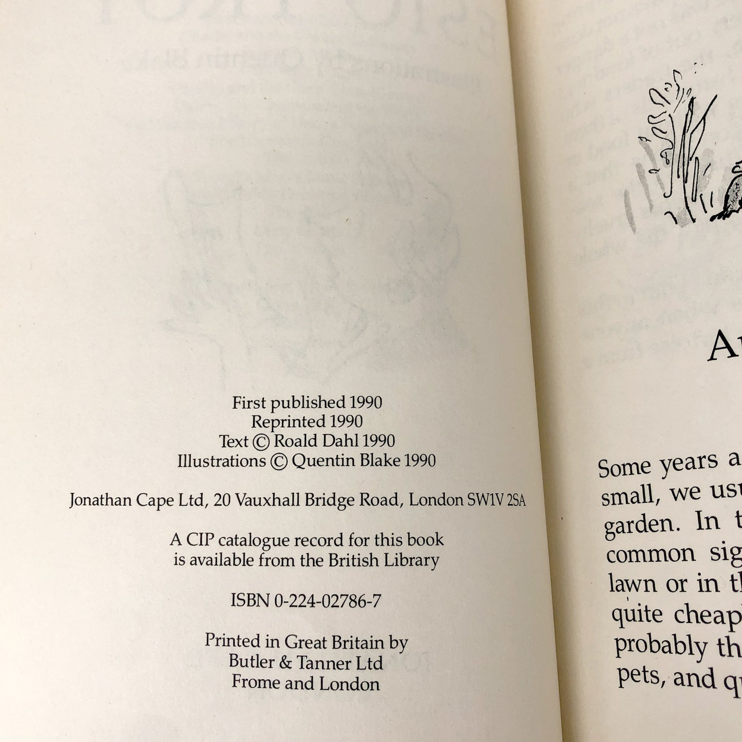 Esio Trot by Roald Dahl [U.K. FIRST EDITION] • 1990 • Jonathan Cape