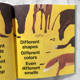 Everyone Poops by Taro Gomi [U.S. FIRST EDITION] - Bookshop Apocalypse