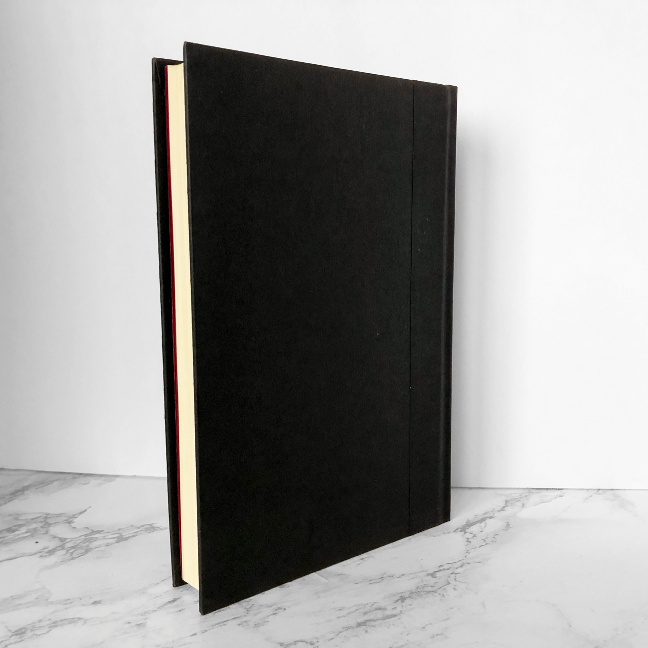 Everything is Illuminated by Jonathan Safran Foer [SIGNED FIRST EDITION] - Bookshop Apocalypse