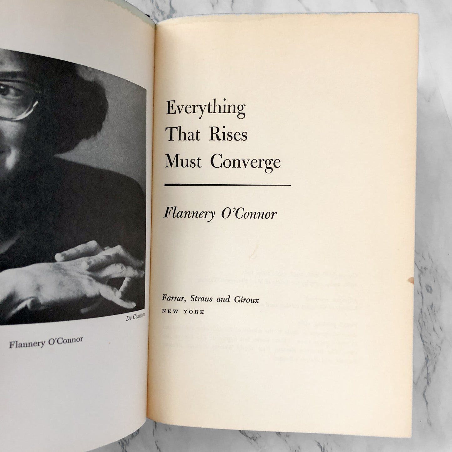 Everything That Rises Must Converge by Flannery O'Connor [FIRST EDITION] - Bookshop Apocalypse