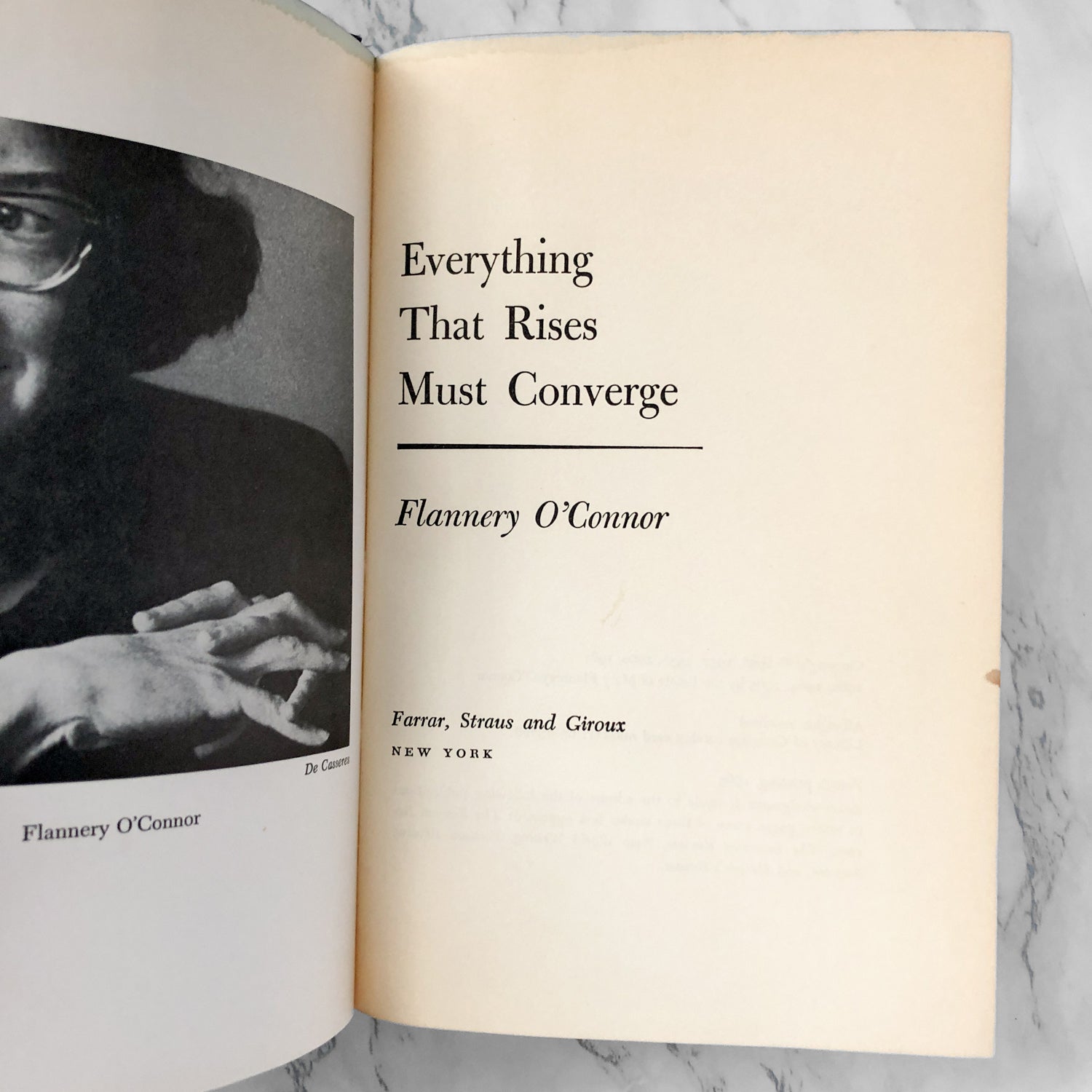 Everything That Rises Must Converge by Flannery O'Connor [FIRST EDITION] - Bookshop Apocalypse