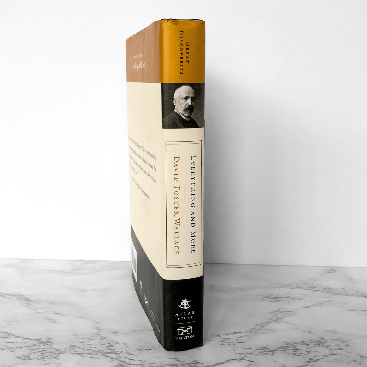 Everything and More: A Compact History of Infinity by David Foster Wallace [FIRST EDITION] 2003