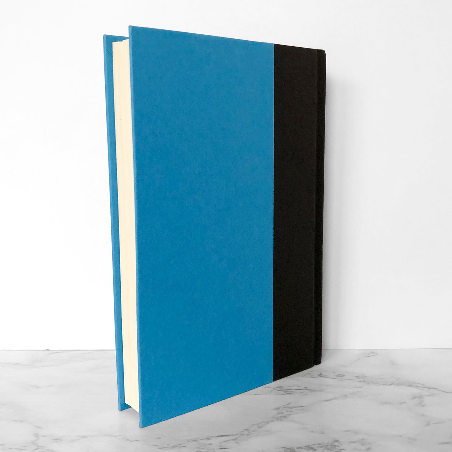 Everything and More: A Compact History of Infinity by David Foster Wallace [FIRST EDITION] 2003