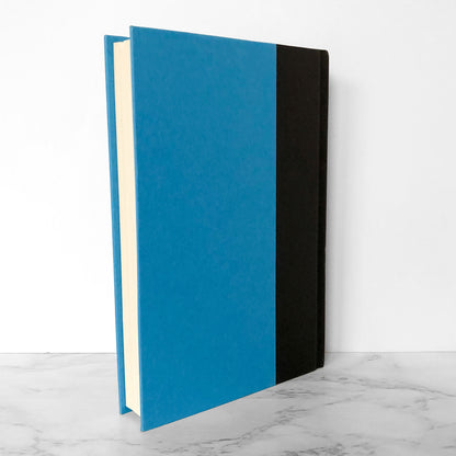 Everything and More: A Compact History of Infinity by David Foster Wallace [FIRST EDITION] 2003