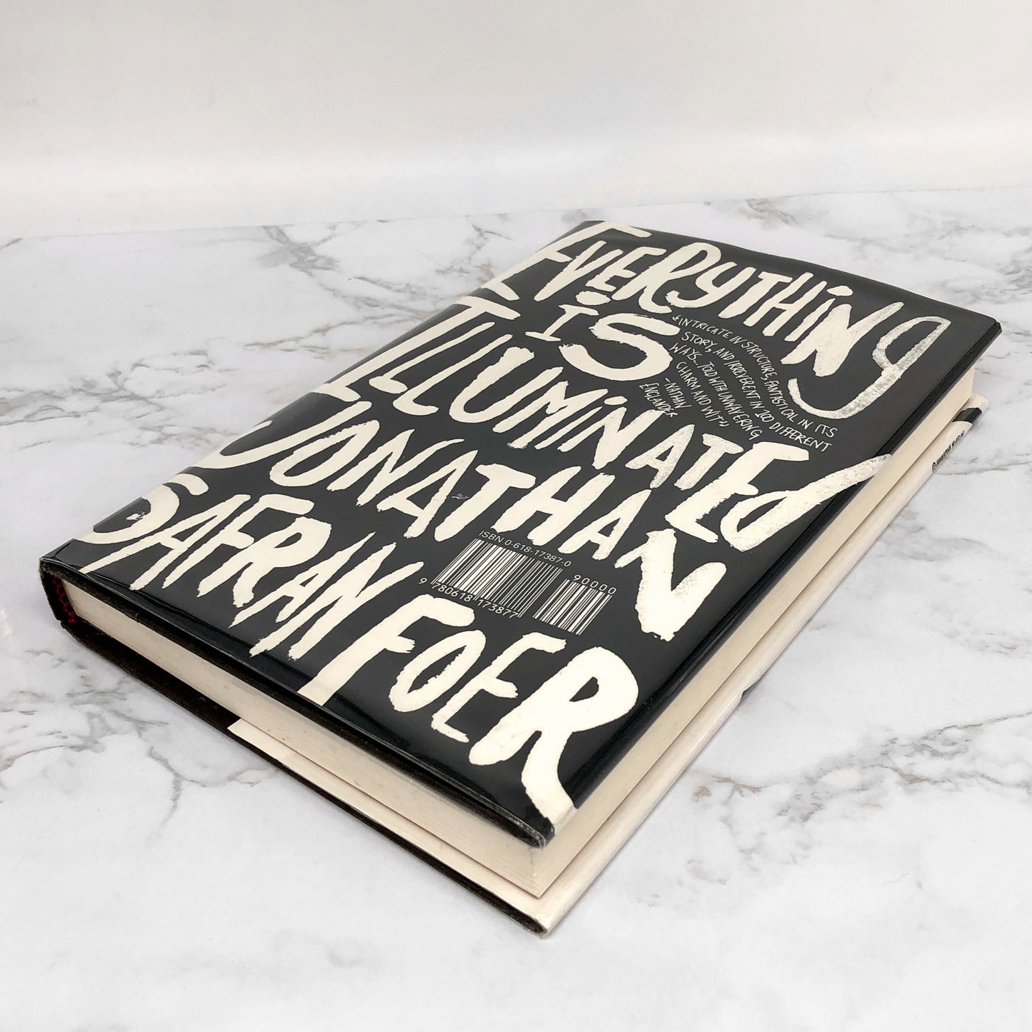 Everything is Illuminated by Jonathan Safran Foer [FIRST EDITION] 2002