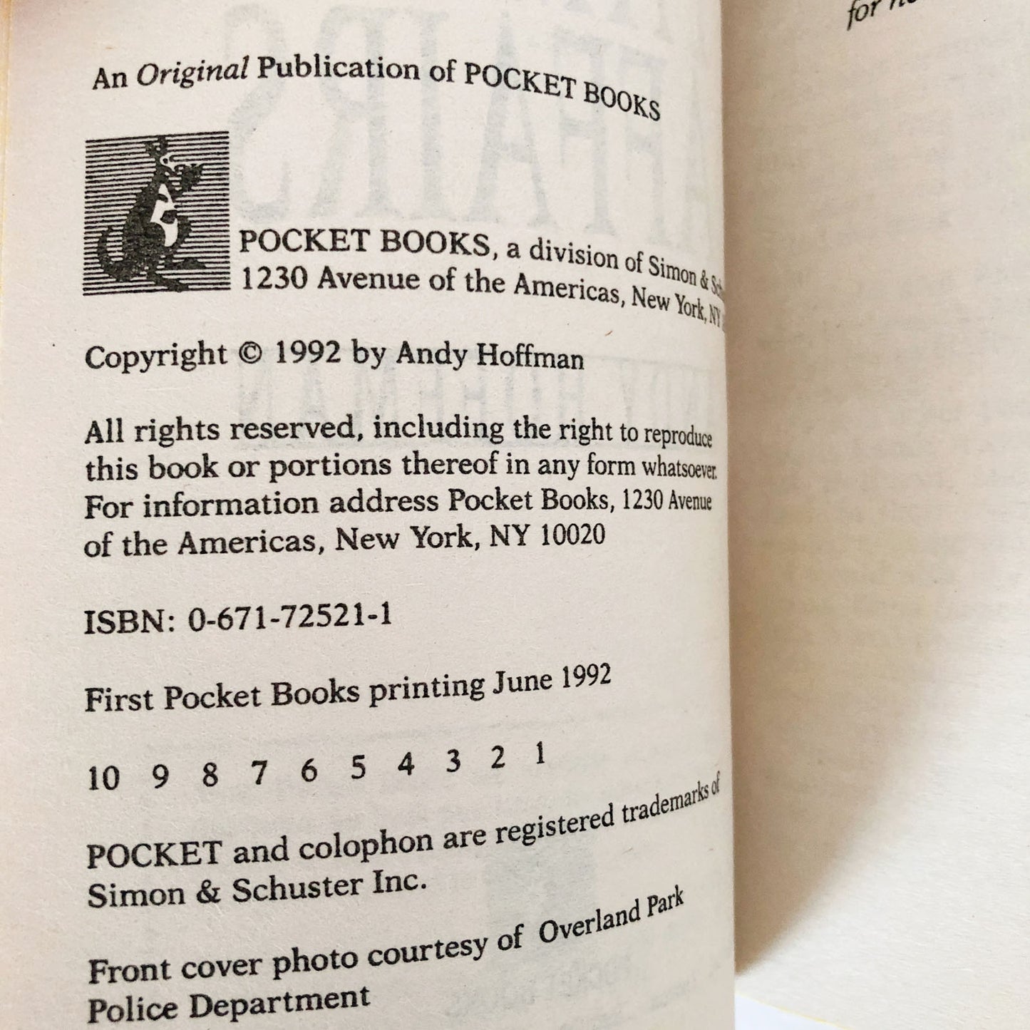 Family Affairs by Andy Hoffman [FIRST EDITION PAPERBACK] 1992