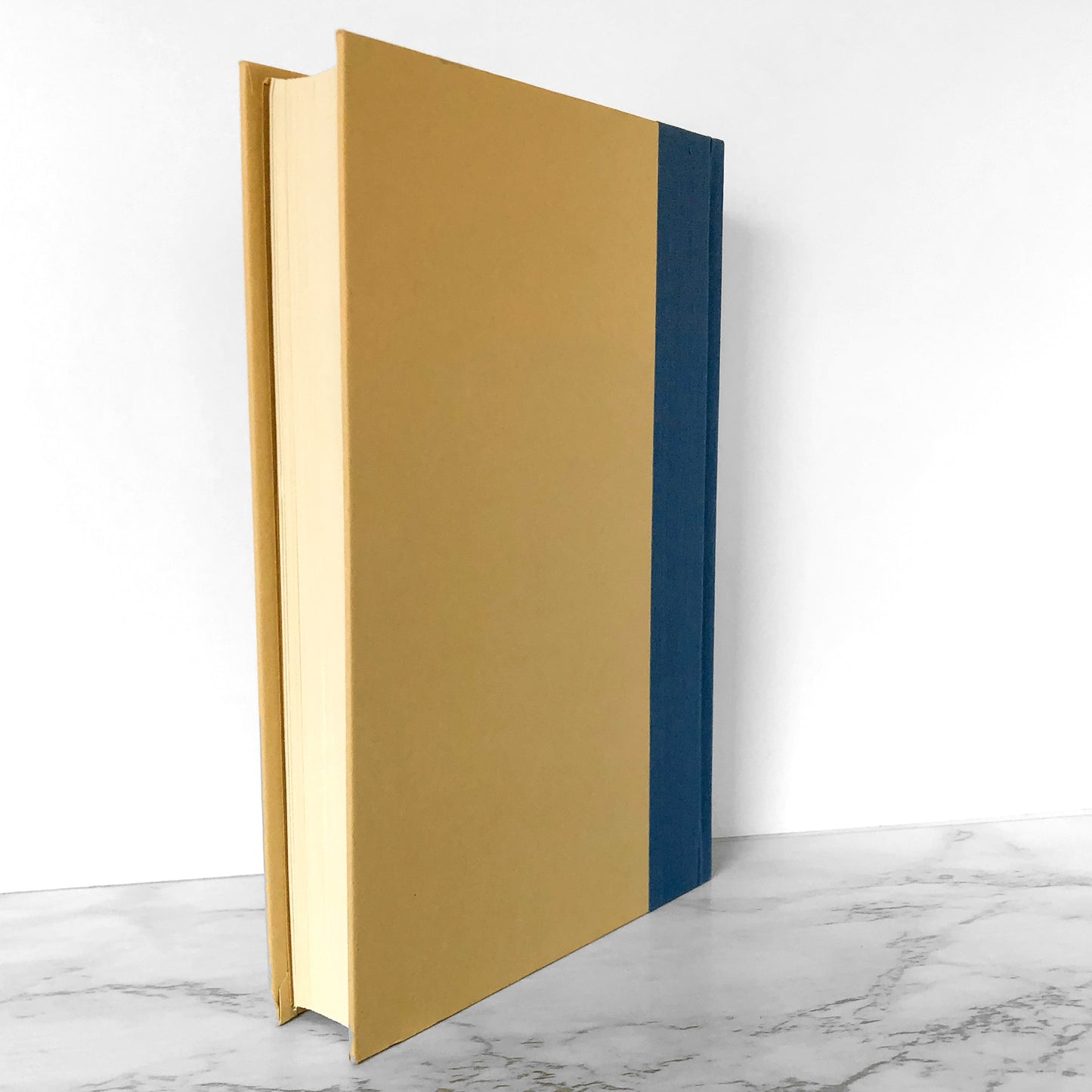 Family Pictures by Sue Miller [FIRST EDITION / 1990]