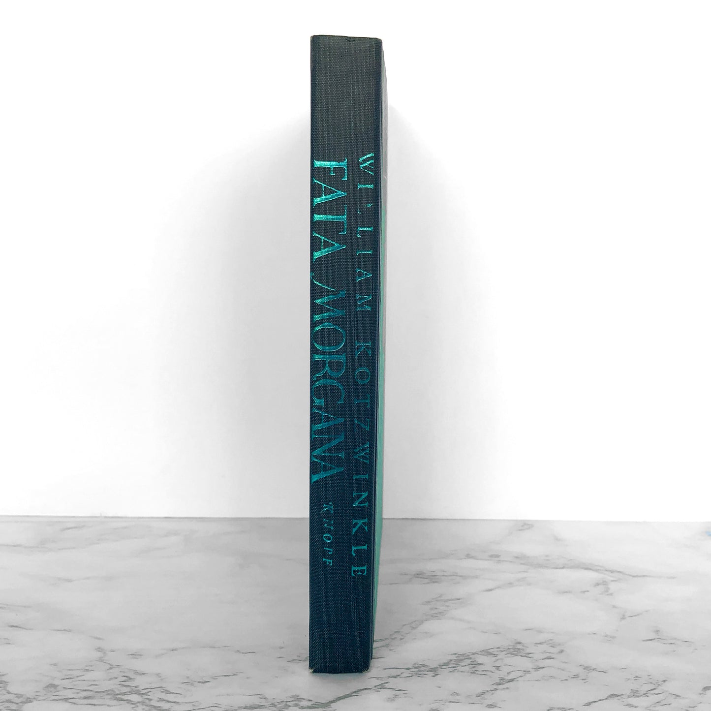 Fata Morgana by William Kotzwinkle [FIRST EDITION / FIRST PRINTING] 1977