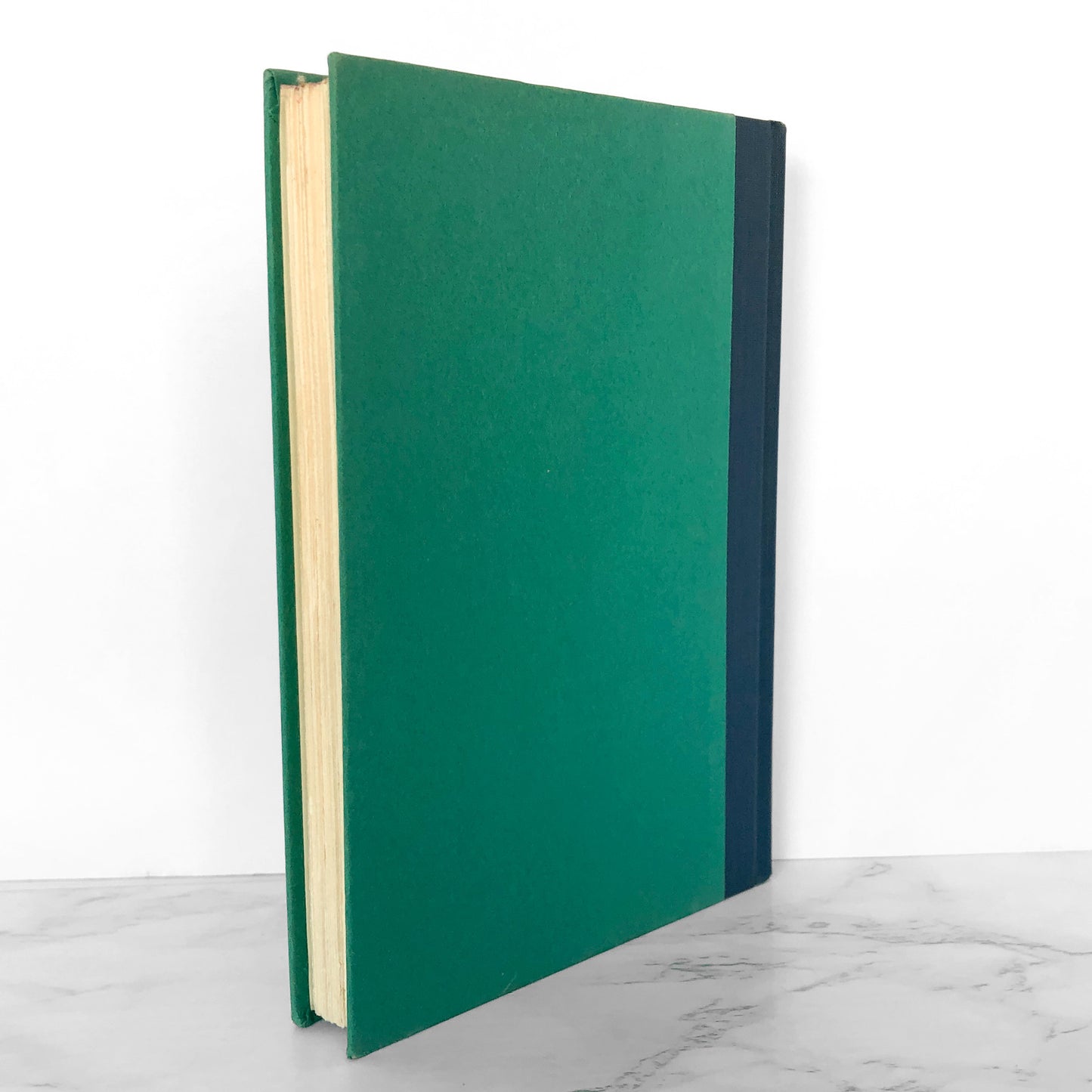 Fata Morgana by William Kotzwinkle [FIRST EDITION / FIRST PRINTING] 1977