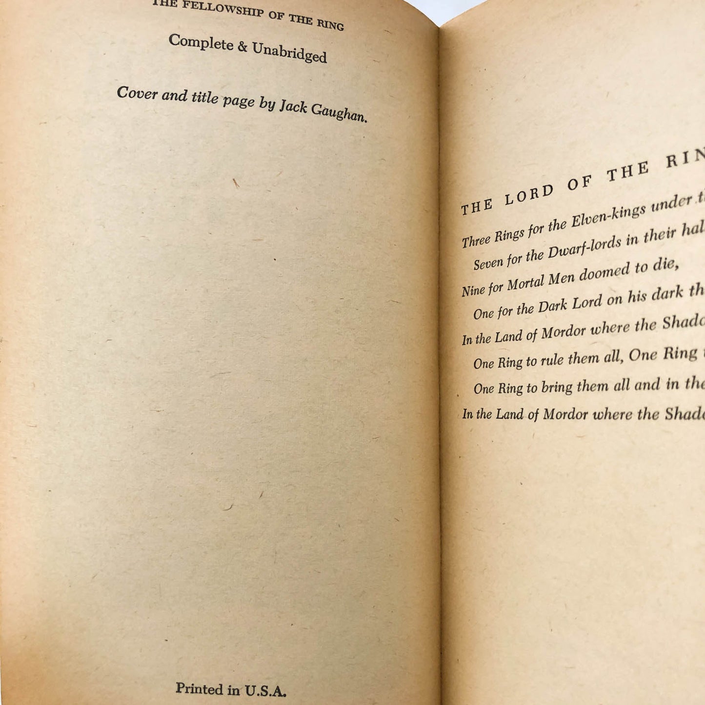 The Fellowship of the Ring by J.R.R. Tolkien [FIRST PAPERBACK PRINTING] Ace Books / 1964