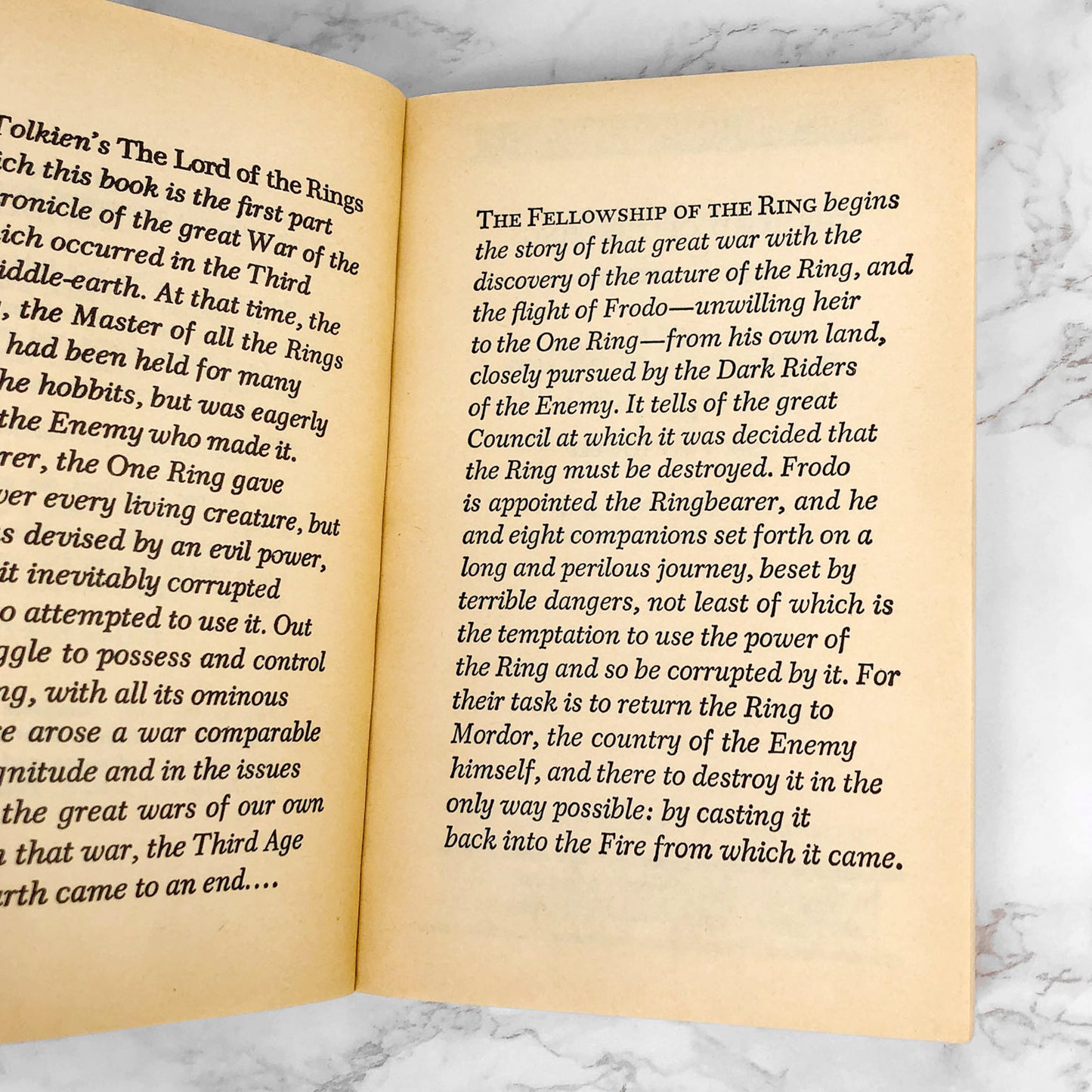 The Fellowship of The Ring by J.R.R. Tolkien [1971 SPECIAL EDITION PAPERBACK]