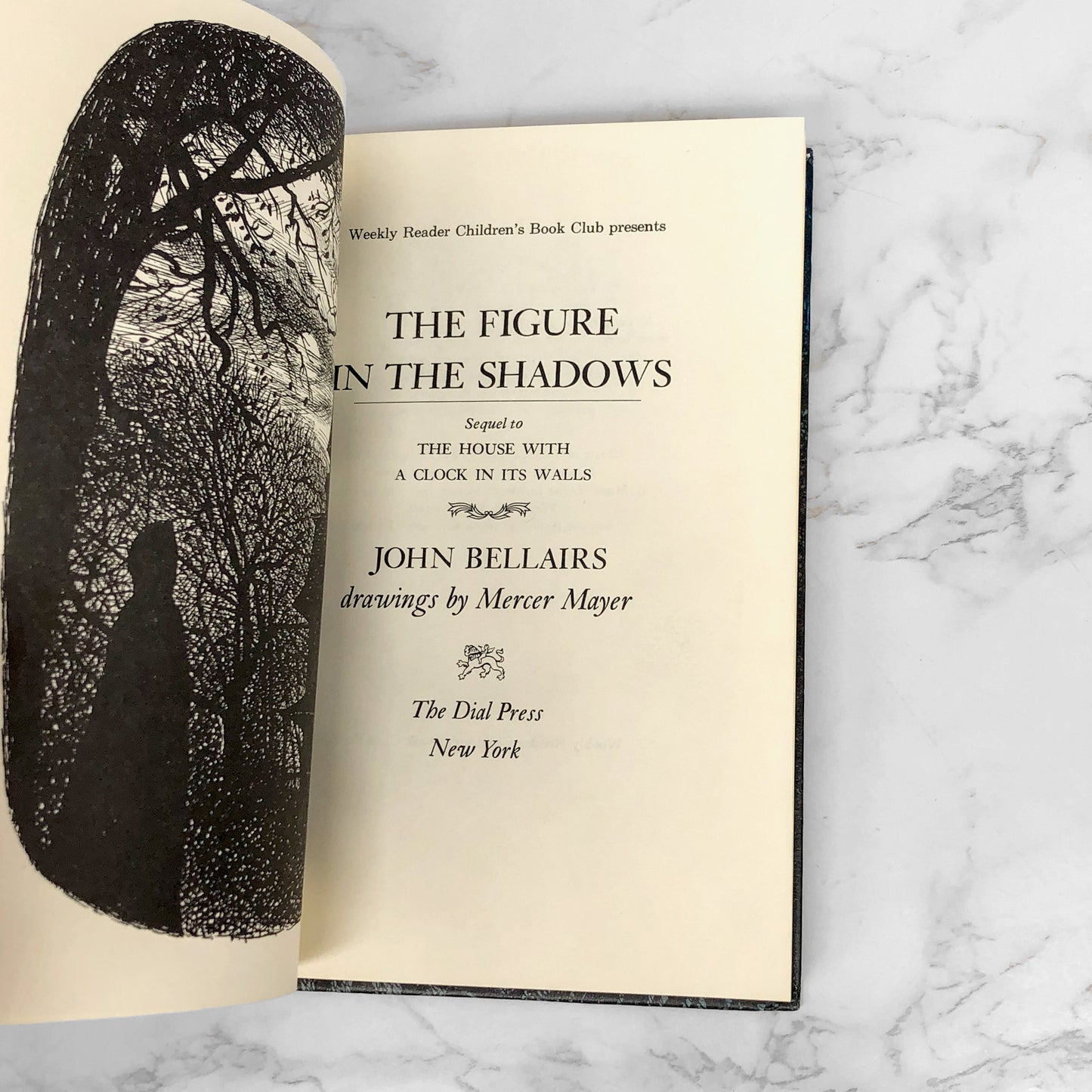 The Figure in the Shadows by John Bellairs [1975 HARDCOVER] The Dial Press