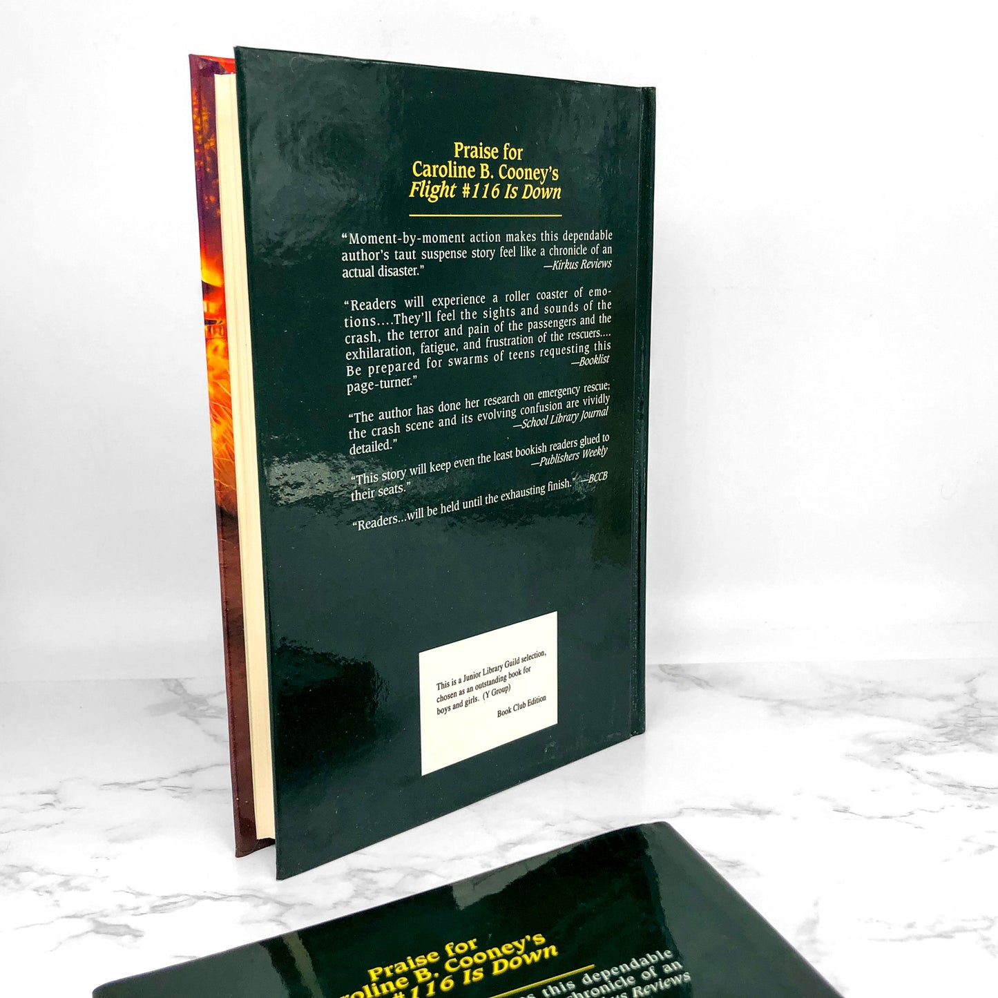 Flash Fire by Caroline B. Cooney [FIRST EDITION • FIRST PRINTING] 1995 • Scholastic