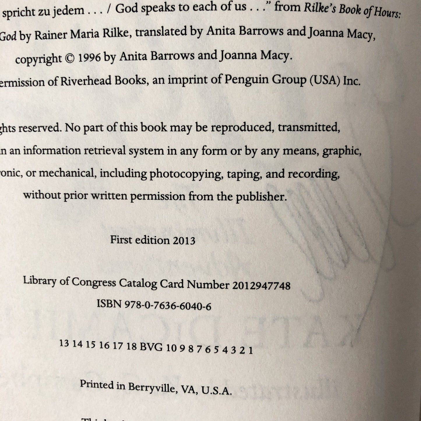 Flora & Ulysses: The Illumintated Adventures by Kate DiCamillo [SIGNED FIRST EDITION / FIRST PRINTING] - Bookshop Apocalypse
