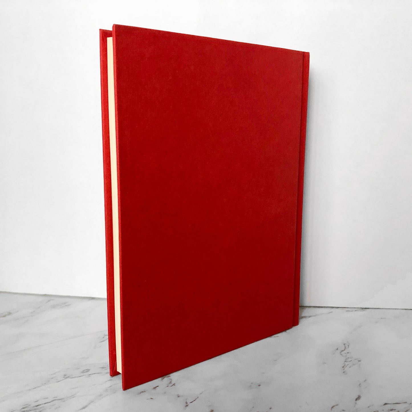 Flora & Ulysses: The Illumintated Adventures by Kate DiCamillo [SIGNED FIRST EDITION / FIRST PRINTING] - Bookshop Apocalypse