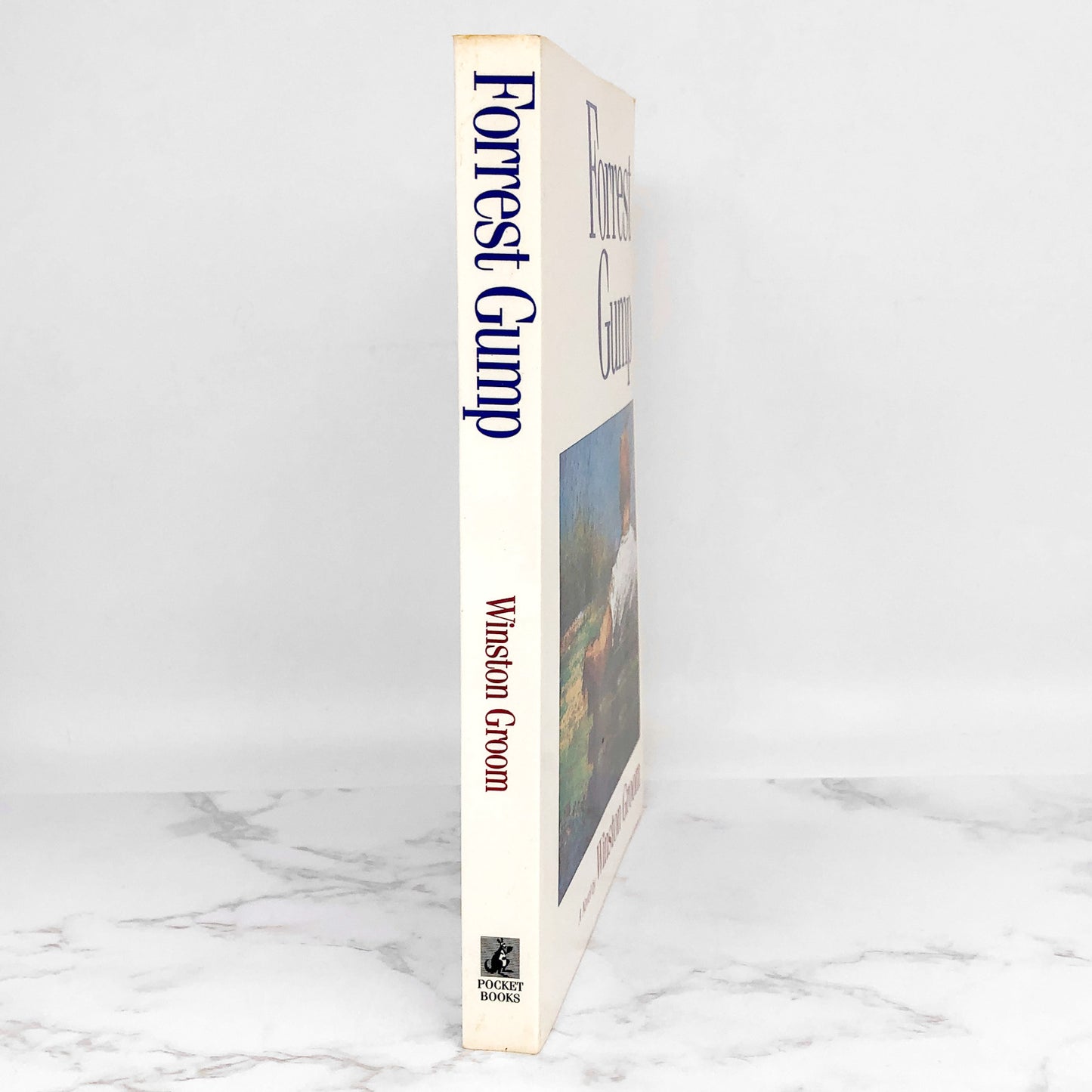 Forrest Gump by Winston Groom [PUBLISHERS ADVANCE PAPERBACK] 1994 • Pocket