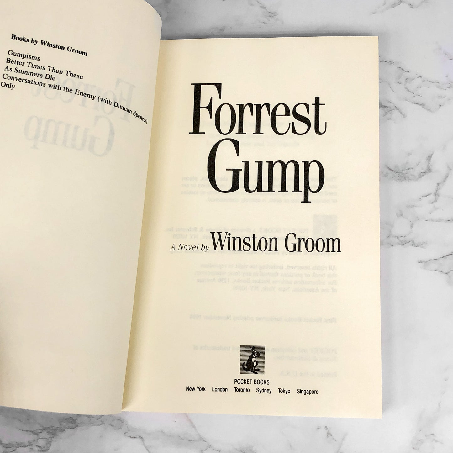 Forrest Gump by Winston Groom [PUBLISHERS ADVANCE PAPERBACK] 1994 • Pocket
