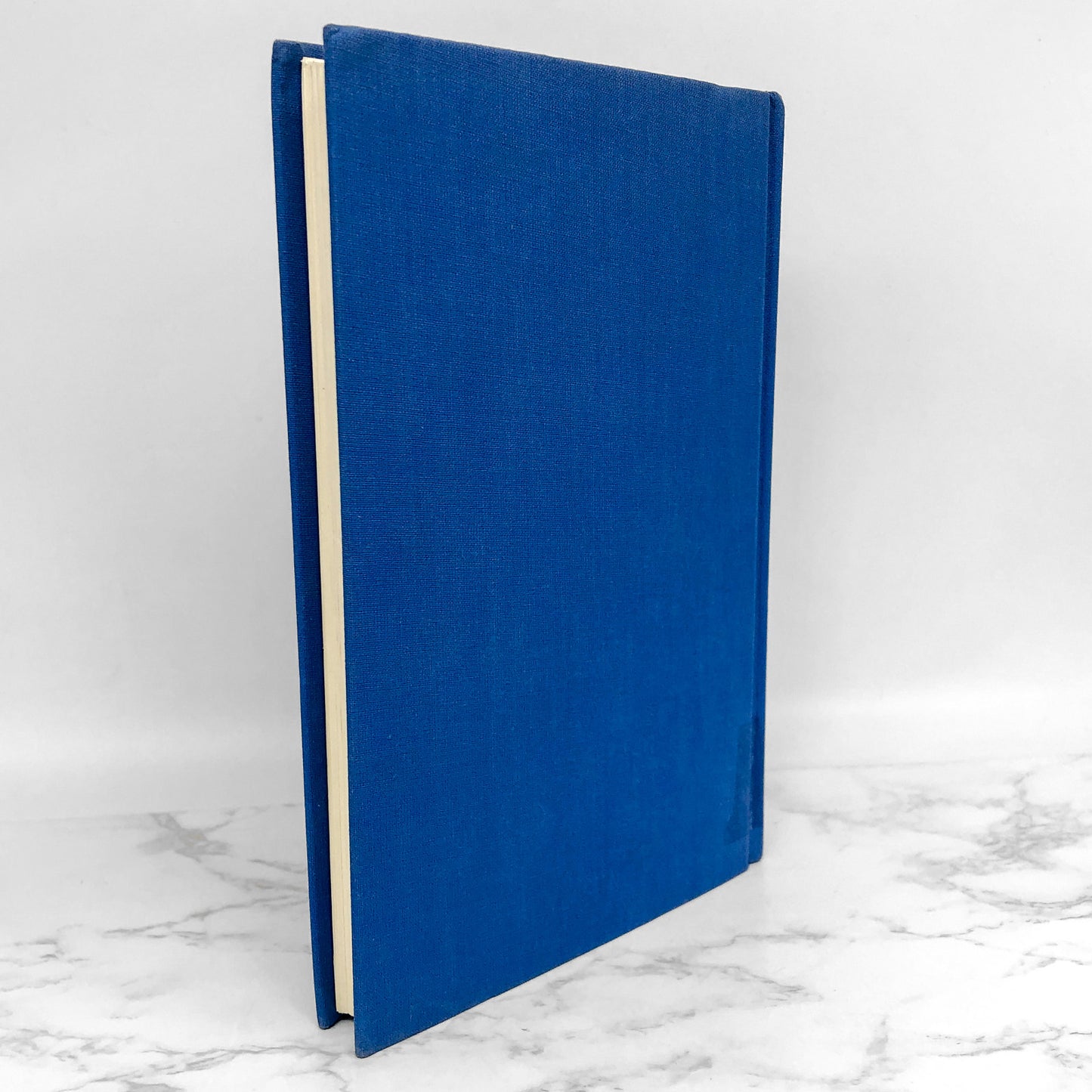 F. Scott Fitzgerald - Modern Critical Views edited by Harold Bloom [FIRST EDITION] 1985