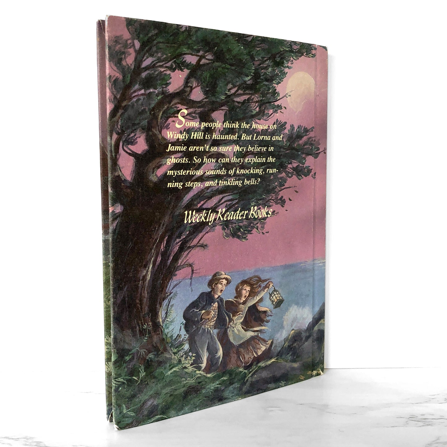 The Ghost of Windy Hill by Clyde Robert Bulla [1987 HARDCOVER}