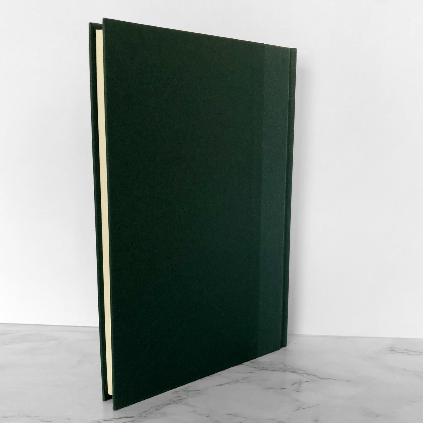 Ghosts & Haunts of the Civil War: Authentic Accounts of the Strange & Unexplained by Christopher K. Coleman [2003 HARDCOVER]