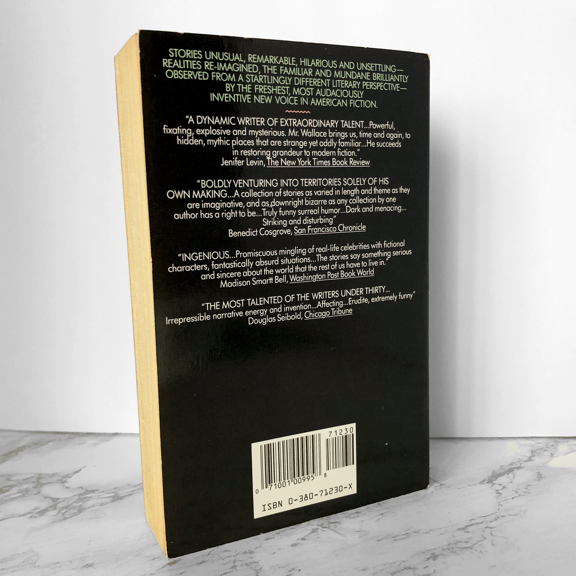 Girl With Curious Hair by David Foster Wallace [FIRST PAPERBACK PRINTING] - Bookshop Apocalypse